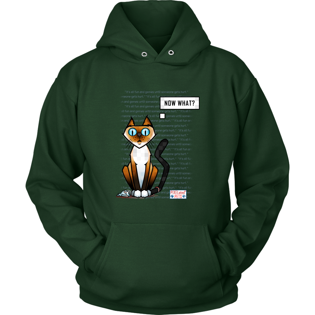 It's all fun and games until someone gets hurt!- Mens and Womens Hoodie